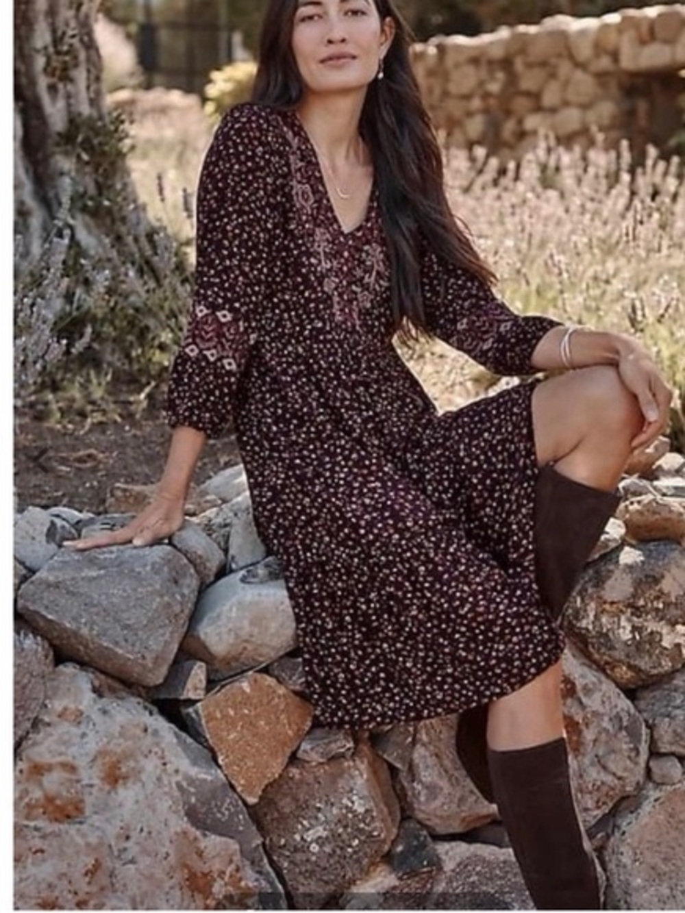 J.Jill Sonoma Embroidered Dress Dark Fig Floral